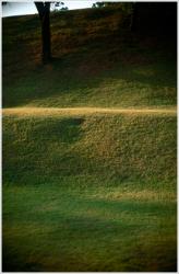dailyPhoto38
